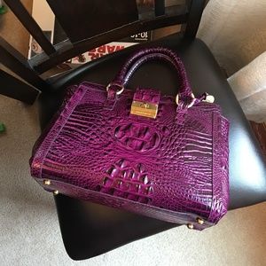 brahmin annabelle